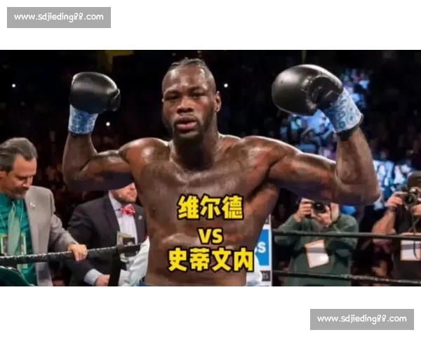 维尔德与史蒂文内重燃拳坛恩怨之战谁能笑到最后 维尔德与史蒂文内重燃拳坛恩怨之战谁能笑到最后